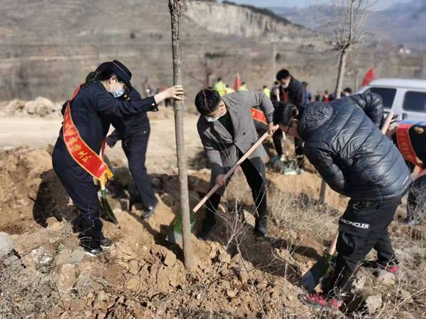 植樹(shù)添新綠，不負(fù)好春光！山東三箭集團(tuán)開(kāi)展義務(wù)植樹(shù)活動(dòng)